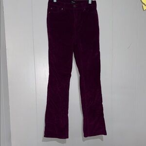 Jones New York Deep Purple Corduroy Pants